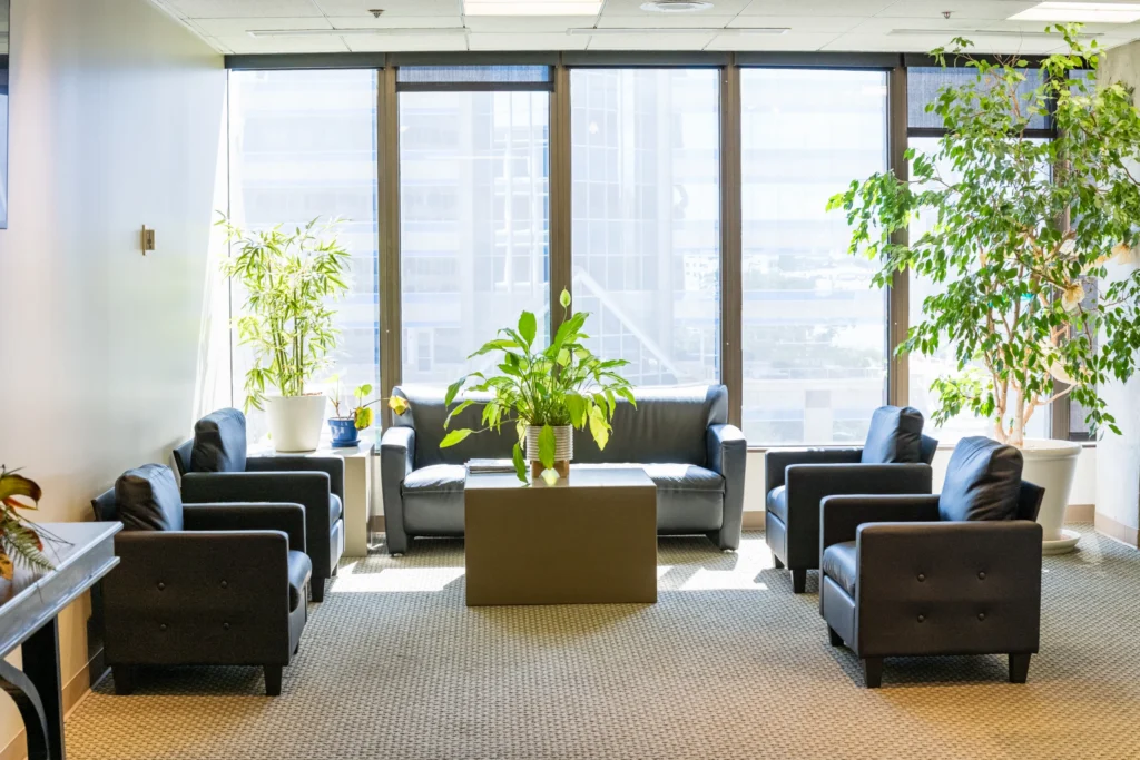 Bright dental office lounge with black leather seating, a coffee table, potted plants, and large windows overlooking city buildings